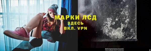 прущие грибы Медногорск