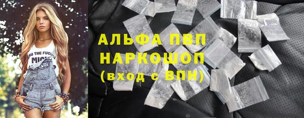 гашик Майский