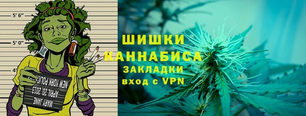 гашик Майский