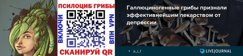 Купить где  Новоржев  Галлюциногенные грибы ЛСД 